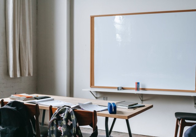 Programa acompañantes