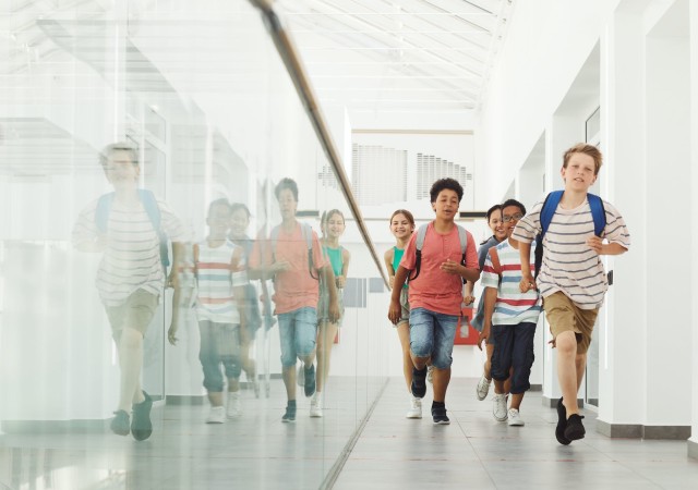 Programa acompañantes